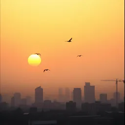 Gut Morning