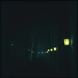 Shadows of the Heart