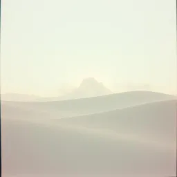 Learning How to Last