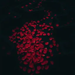 Don’t wake me