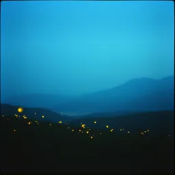“Flickerfields”