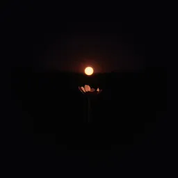 The Flickering Light In The Still Darkness.