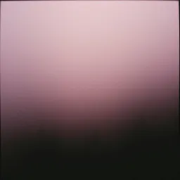 Dance With Shadows