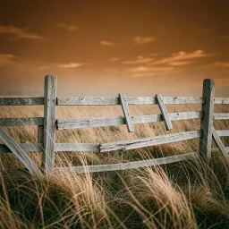 Unsilenced (the voice you couldn't keep)