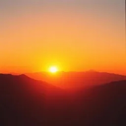Rise Better
