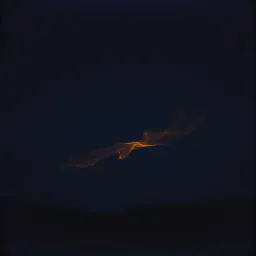 Unforgettable Fire