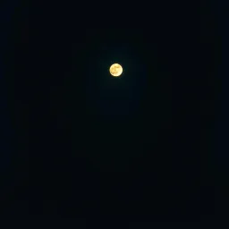 Through the Night