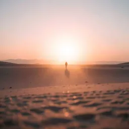 Desert's End