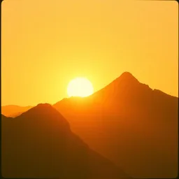 Rise From the Fire