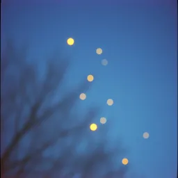 Love Like Fireflies