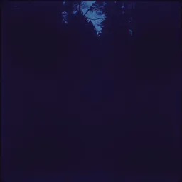 My Demons
