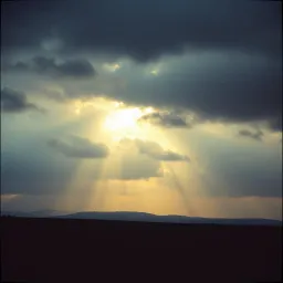 Your Grace Carried Me”