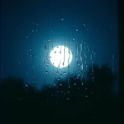 이별의 그림자 (Shadows of Goodbye)