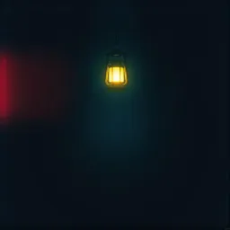 Need a light