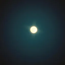 Midnight Serenade