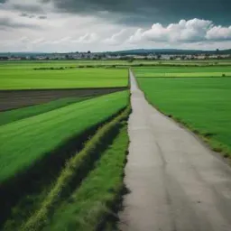 Fork in the Road