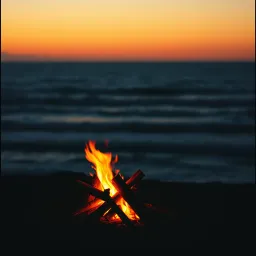 Sunset Serenade