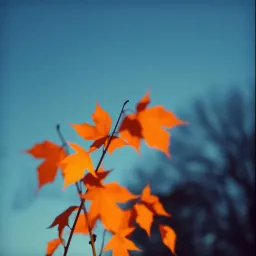 November