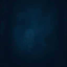 noir1