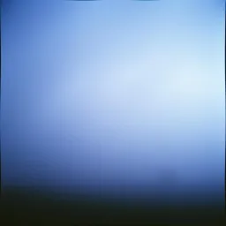 Voces en la Niebla