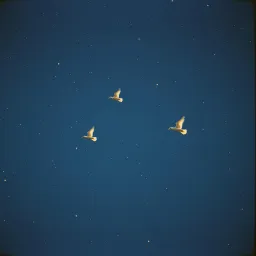 Guided by Angels