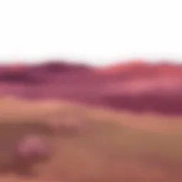 بَصمةُ المعنى