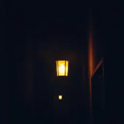 Мой шаг