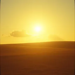 Samantha Skies