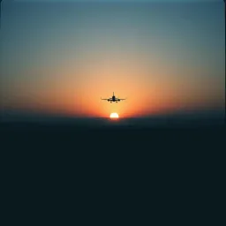 Flight 77