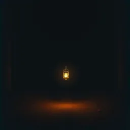 Waiting for the Morning Light