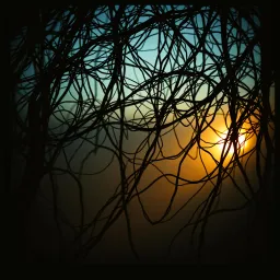 Secrets in the Shadows