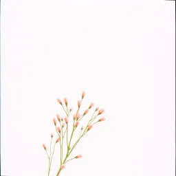 Elegance of Air