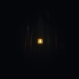 Guided by Your Light