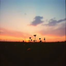 Were i belong Vol.2