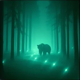 Bear Stride