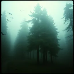 The whispers