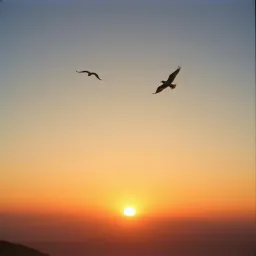 Más Allá del Sol