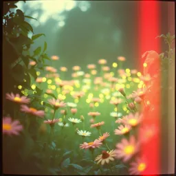 Beautiful