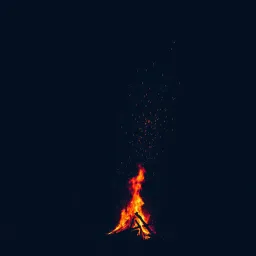 Ignite the Night