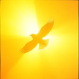 En sus alas