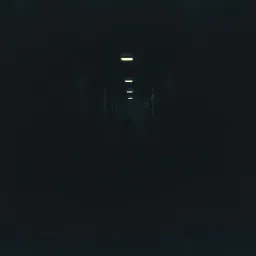 The hollow man