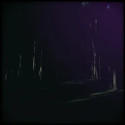 Shadows and Strangers