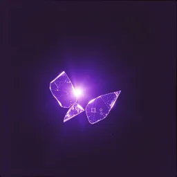 Broken Universe
