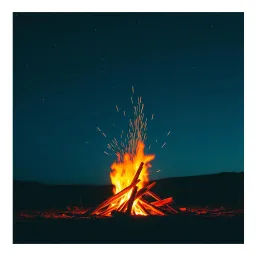 Spake the night