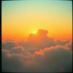 Seize the Sun