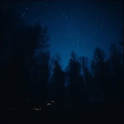 Shadows in the Dark