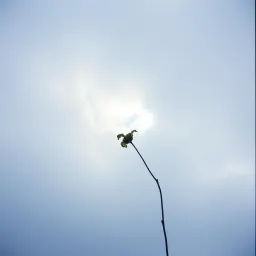 Stay Without Breaking