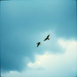 Take Us Higher