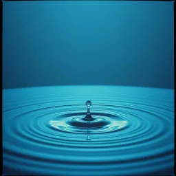 海里的一滴 “A Drop in the Ocean”