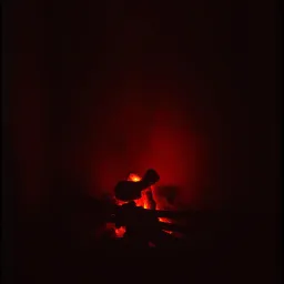 Ashes and Embers